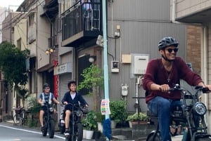 Tokyo Bay-området: Guidet tur på elcykel på 3 timer med udsigt ved solnedgang