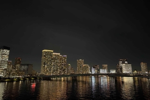 Baia di Tokyo: tour guidato di 3 ore in e-bike con vista notturna al tramonto