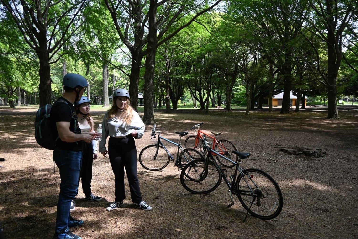 Велотур по Токио: Сибуя, Харадзюку и скрытые жемчужины