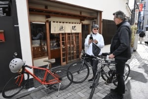 Велотур по Токио: Сибуя, Харадзюку и скрытые жемчужины