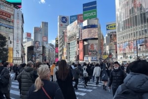 Велотур по Токио: Сибуя, Харадзюку и скрытые жемчужины