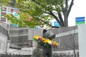 Велотур по Токио: Сибуя, Харадзюку и скрытые жемчужины