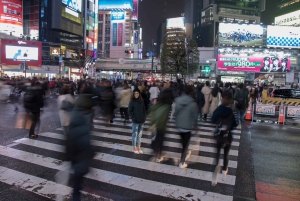 Tokio bei Nacht Fototour