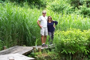 Tokyo: Calligraphy Class and Walking Tour