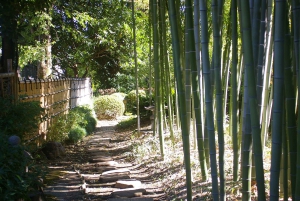 Tokyo: Calligraphy Class and Walking Tour