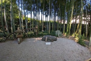 Tokyo: Calligraphy Class and Walking Tour