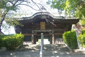 Tokyo: Calligraphy Class and Walking Tour