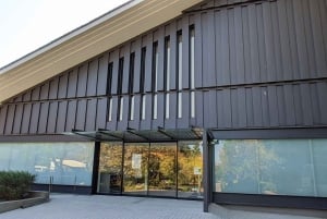 Tokyo: Calligraphy Class and Walking Tour