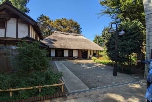 Tokyo: Calligraphy Class and Walking Tour