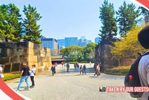 Tokyo Castle: Imperial Palace, Shogun & Garden Walking Tour
