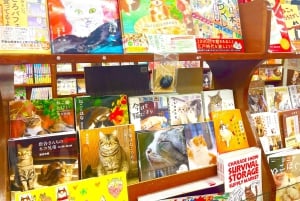 Tokyo: Bokhandel med katt-tema och Shinjuku Cat Lounge kvällstur