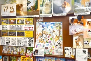 Tokyo: Bokhandel med katt-tema och Shinjuku Cat Lounge kvällstur