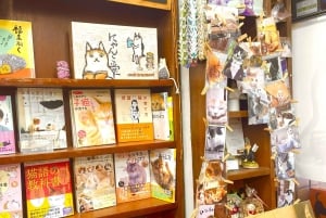 Tokyo: Bokhandel med katt-tema och Shinjuku Cat Lounge kvällstur