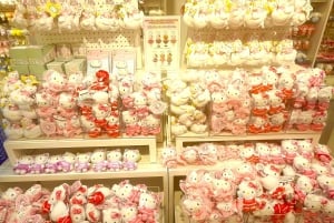 Tokyo: Bokhandel med katt-tema och Shinjuku Cat Lounge kvällstur