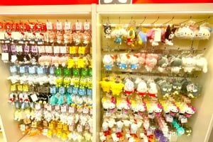 Tokyo: Bokhandel med katt-tema och Shinjuku Cat Lounge kvällstur