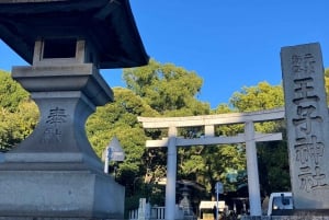 Tokio: Einzigartige japanische Neujahrstraditionen zelebrieren