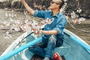 Excursión Exprés a los Cerezos en Flor de Tokio con paseo en barco