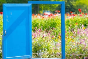 Osaka: hoogtepunten van Kyoto en Nara (7-9 plekken)