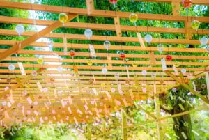 Osaka: hoogtepunten van Kyoto en Nara (7-9 plekken)