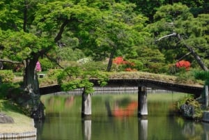 Osaka: hoogtepunten van Kyoto en Nara (7-9 plekken)