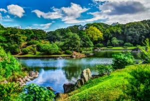 Osaka: hoogtepunten van Kyoto en Nara (7-9 plekken)