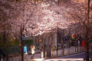 Osaka: hoogtepunten van Kyoto en Nara (7-9 plekken)