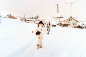Tóquio: Sessão fotográfica cinematográfica - estilo natural ou cyberpunk