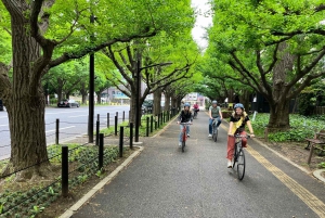 Tokyo sykkeltur: Shibuya, Harajuku og skjulte perler