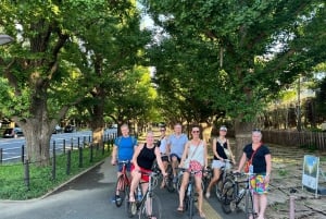 Tokyo sykkeltur: Shibuya, Harajuku og skjulte perler