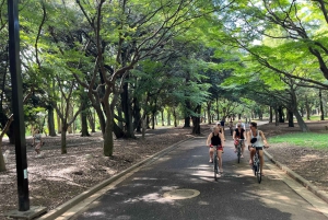 Tokyo sykkeltur: Shibuya, Harajuku og skjulte perler