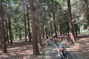 Tokyo sykkeltur: Shibuya, Harajuku og skjulte perler