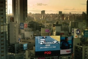 Privat dagsutflykt i Tokyo