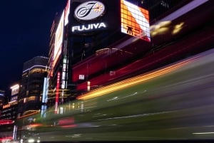 Privat dagsutflykt i Tokyo