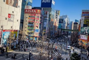 Privat dagsutflykt i Tokyo