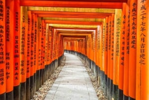 Osaka/Kyoto/Nara: private Ganztagestour