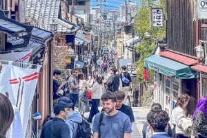 Osaka/Kyoto/Nara: private Ganztagestour