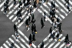 Osaka/Kyoto/Nara: private Ganztagestour