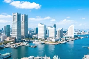 Tokyo : transfert privatif aller simple vers/depuis Yokohama