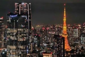 Tokyo City: One-Way Private Transfer to/from Yokohama City