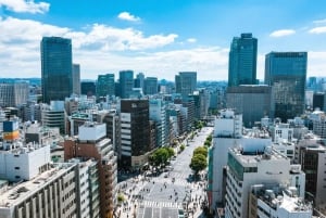 Tokyo City: One-Way Private Transfer to/from Yokohama City