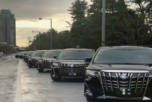 Tokio: Privé-transfers van/naar Hakone of Mt. Fuji