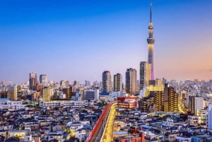 Tokyo City Tour Private Customized Sightseeing Day Tour