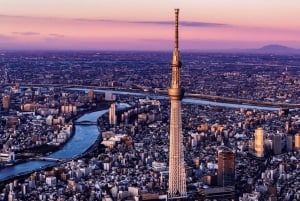 Tokyo City Tour Private Customized Sightseeing Day Tour