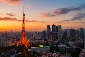 Tour privato della città di Tokyo con guida in inglese