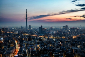 Tour privato della città di Tokyo con guida in inglese