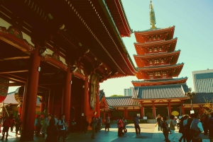 Tour privato della città di Tokyo con guida in inglese