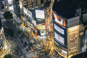 Tour privato della città di Tokyo con guida in inglese