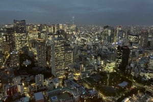 tokyo city walk tour besøk Tokyo på én dag