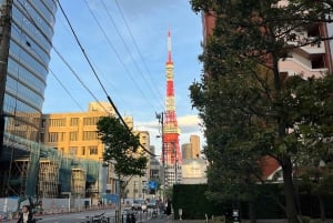 tokyo city walk tour besøk Tokyo på én dag