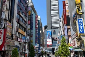 tokyo city walk tour besøk Tokyo på én dag